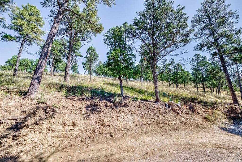 Perk Canyon Hidden Acres-Hot Tub-Gas Fireplace Ruidoso Luaran gambar